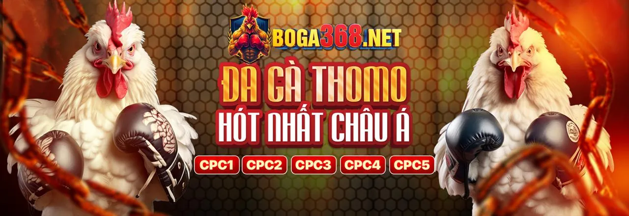 Đá gà trực tuyến kịch tính tại 52club nhà cái